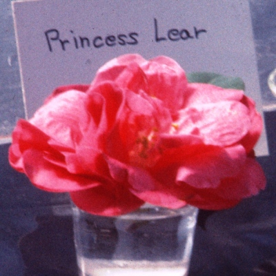Princess Lear